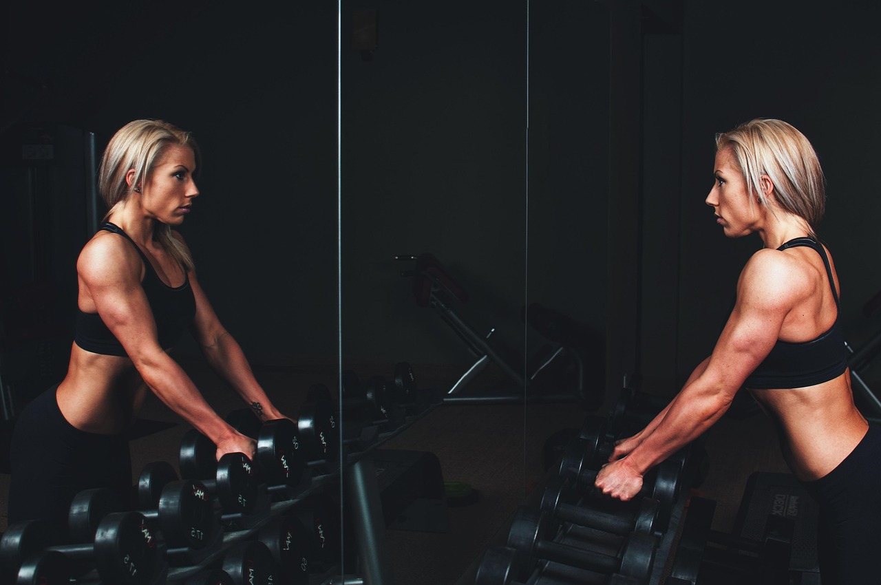Exercise Plan
